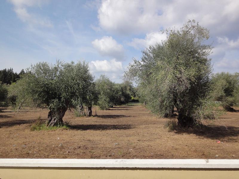 Ekati Ξενοδοχείο Κάβος Εξωτερικό φωτογραφία